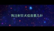 狗注射狂犬疫苗要几针