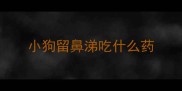 小狗留鼻涕吃什么药