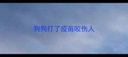 狗狗打了疫苗咬伤人