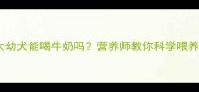6个月大幼犬能喝牛奶吗营养师教你科学喂养全攻略