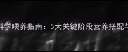 金毛幼犬科学喂养指南5大关键阶段营养搭配与常见误区