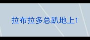 拉布拉多总趴地上