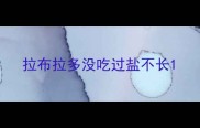 拉布拉多没吃过盐不长