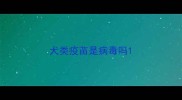 犬类疫苗是病毒吗