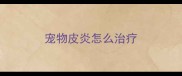 宠物皮炎怎么治疗