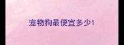宠物狗最便宜多少