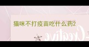猫咪不打疫苗吃什么药