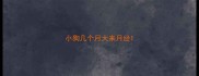 小狗几个月大来月经