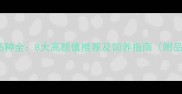 黑白色狗狗品种全8大高颜值推荐及饲养指南附品种对比图