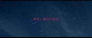 德牧一直没打疫苗