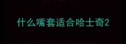 什么嘴套适合哈士奇