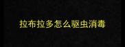 拉布拉多怎么驱虫消毒