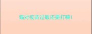 猫对疫苗过敏还要打嘛