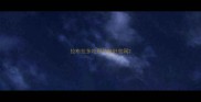 拉布拉多吃那种粮好官网