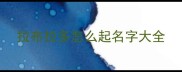 拉布拉多怎么起名字大全