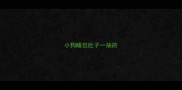 小狗睡觉肚子一抽的