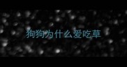 狗狗为什么爱吃草