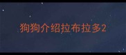 狗狗介绍拉布拉多