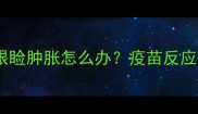 狗狗打疫苗后眼睑肿胀怎么办疫苗反应与护理全指南