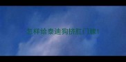 怎样给泰迪狗挤肛门腺