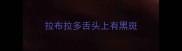 拉布拉多舌头上有黑斑