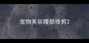 宠物美容腰部修剪