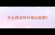 什么样边牧价格比较贵