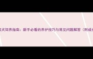 3个月迷你贵宾犬饲养指南新手必看的养护技巧与常见问题解答附成长阶段图片