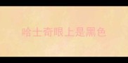 哈士奇眼上是黑色