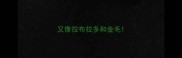又像拉布拉多和金毛