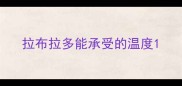 拉布拉多能承受的温度