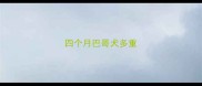 四个月巴哥犬多重