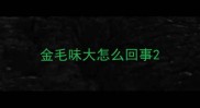 金毛味大怎么回事