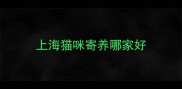 上海猫咪寄养哪家好