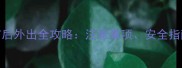 幼犬完成2针疫苗后外出全攻略注意事项安全指南与疫苗保护期