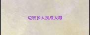 边牧多大换成犬粮