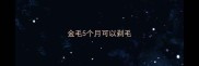 金毛5个月可以剃毛