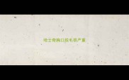 哈士奇胸口脱毛很严重