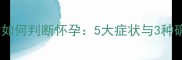 边牧配种后如何判断怀孕5大症状与3种确认方法全