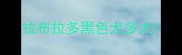 拉布拉多黑色犬多大