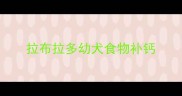 拉布拉多幼犬食物补钙