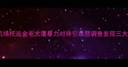 事件回顾机场托运金毛犬遭暴力对待引众怒调查发现三大行业痛点