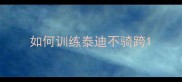 如何训练泰迪不骑跨