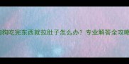 狗狗吃完东西就拉肚子怎么办专业解答全攻略