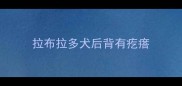 拉布拉多犬后背有疙瘩
