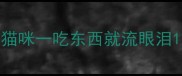 猫咪一吃东西就流眼泪