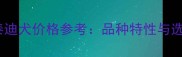 最新中型泰迪犬价格参考品种特性与选购指南全