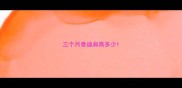 三个月泰迪肩高多少