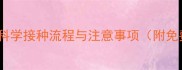 狗狗疫苗全攻略科学接种流程与注意事项附免费疫苗查询工具