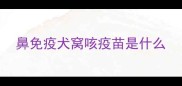 鼻免疫犬窝咳疫苗是什么